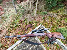 Sauer 202 Highland