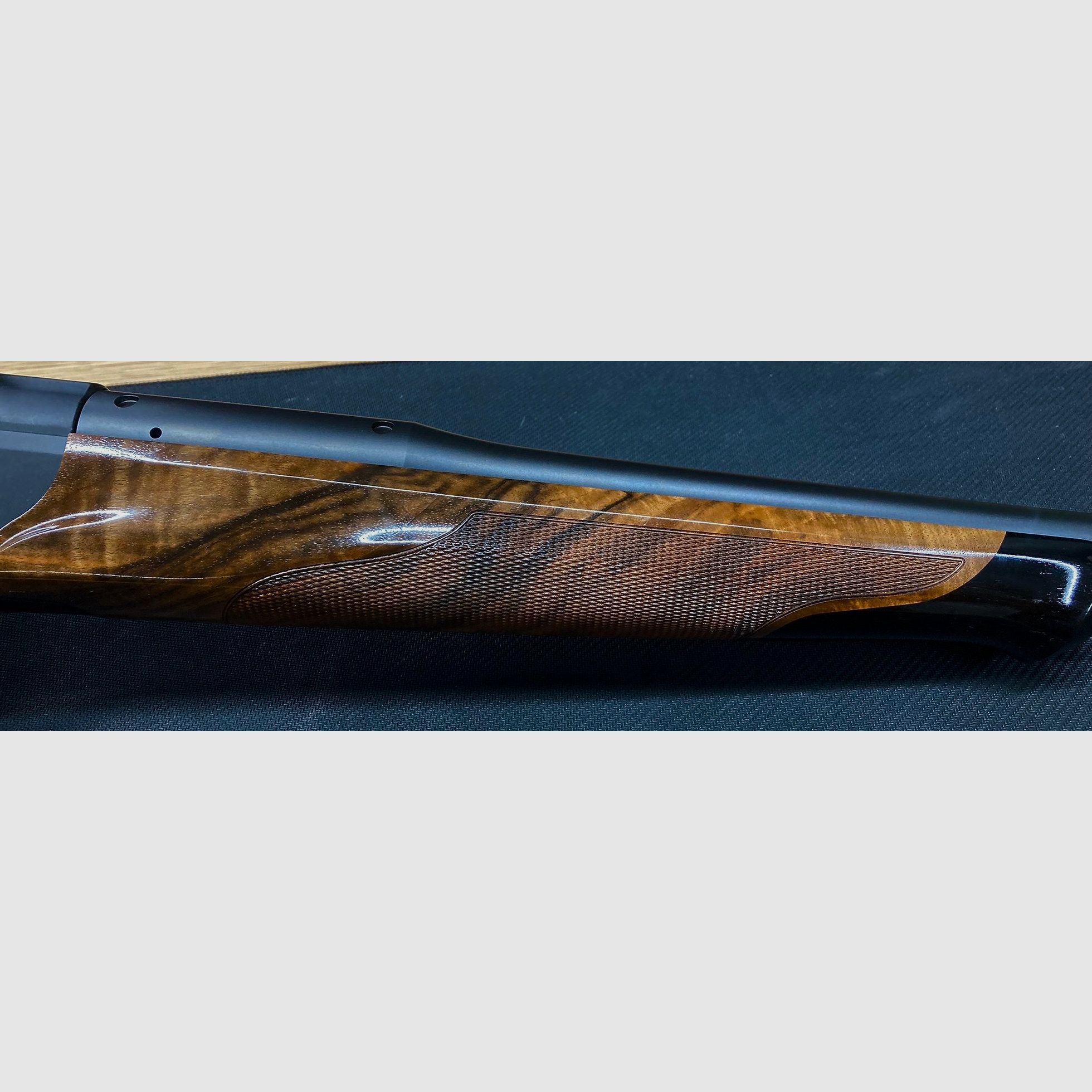 Blaser R8 Success