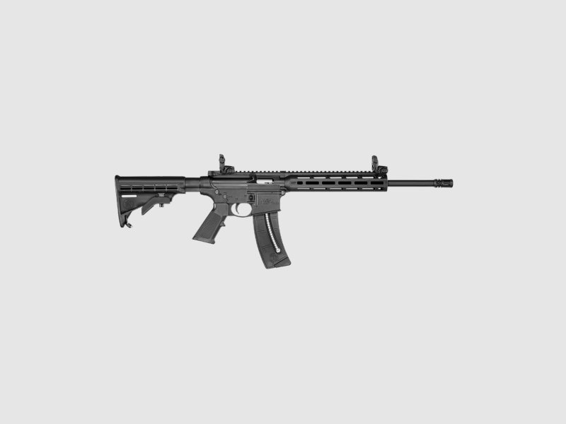 Smith Wesson M&P 15-22 Sport .22 lr, Bild 1 von 4