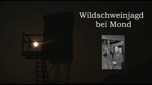 Wildschweinjagd bei Mond