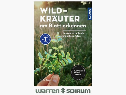 Kosmos Wildkräuter am Blatt erkennen Meike Bosch