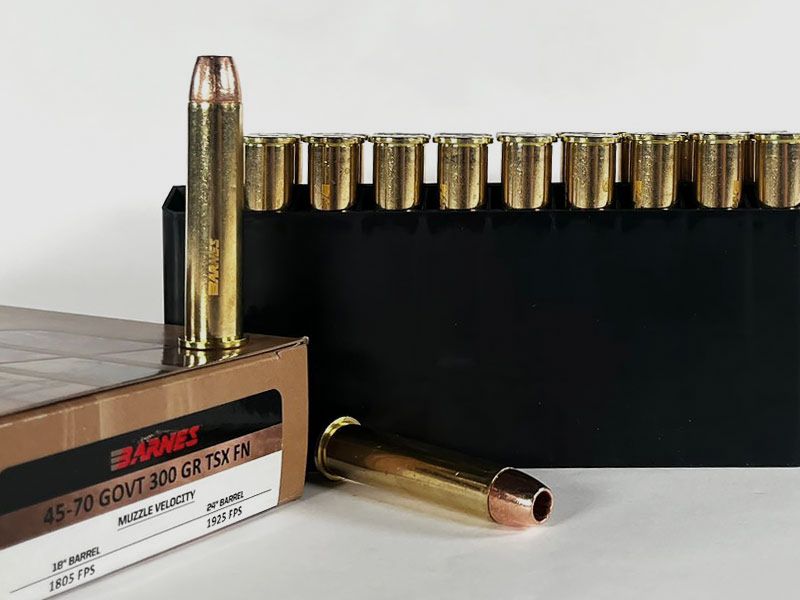 BARNES TSX FN Pioneer .45-70 Government 300 grs 1 Packung (20 Schuss á 3,895 €*)