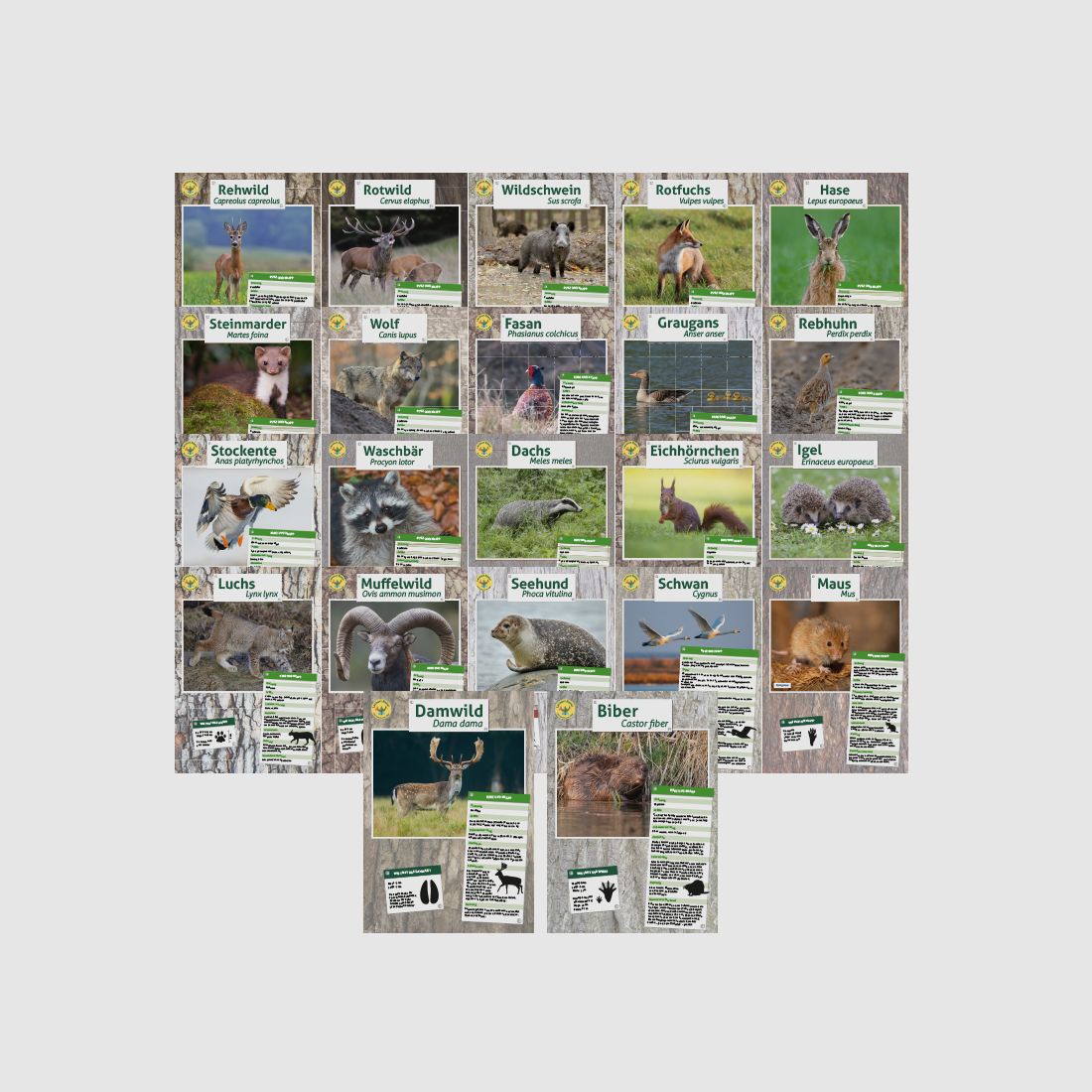 Lernort Natur-Tierposter Set (22 Motive)