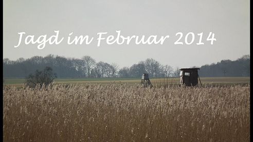 Jagd Februar 2014