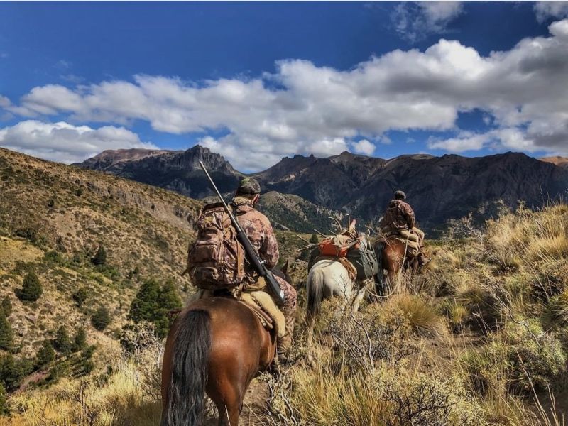 Auf starke Rothirsche in Patagonien! Eine fantastische Jagd!
