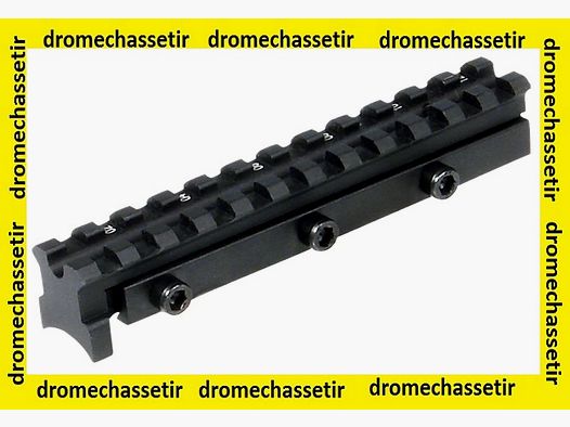 rail picatinny penté pour carabine a plombs diana