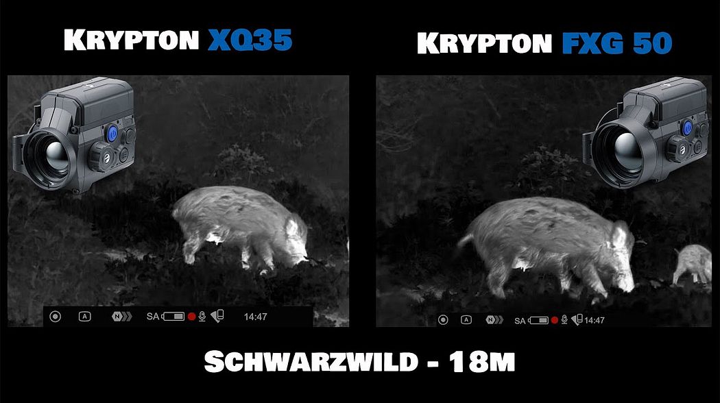 Pulsar Krypton 2 XG50 vs XQ35 - der direkte Vergleich