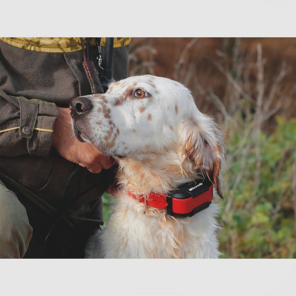BENELLI – CADDY | KIT COLLARE GPS PER CANI, immagine 4 di 5