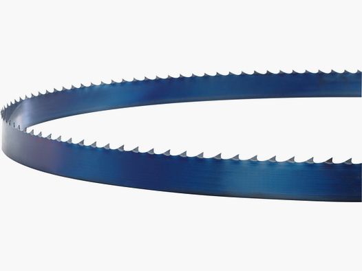 Wintersteiger Sgen Bandsgeblatt Flex-back 10