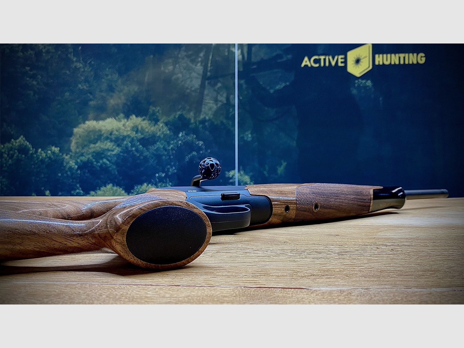 Blaser R8 Success / Wood class 4 / caliber and barrel length of your choice / absolute opportunity