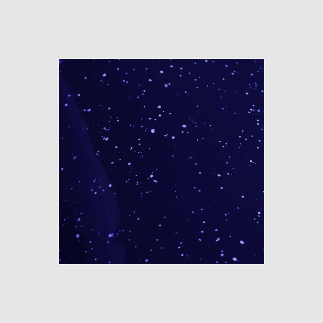 Jarra de café de esmalte 1,2 L Azul