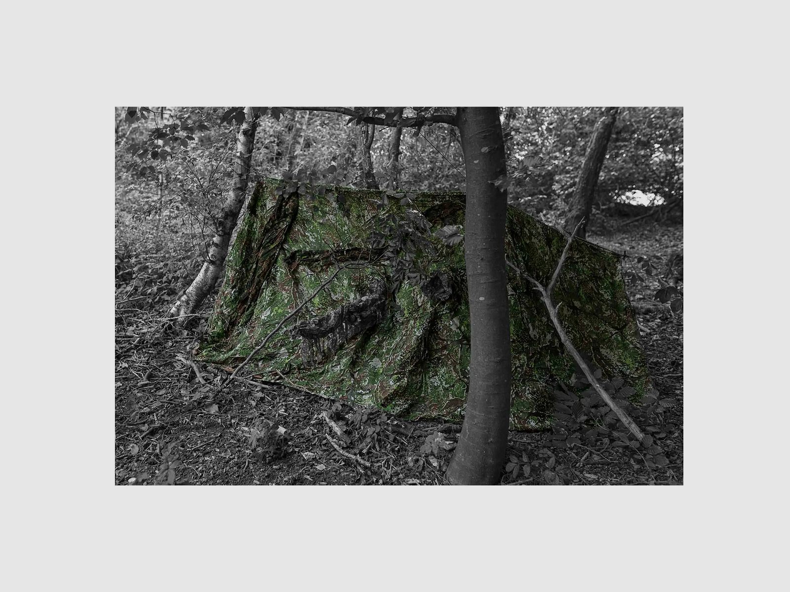 Ghosthood Tarnnetz Recce Net