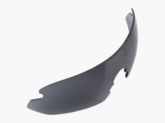 Wechselscheibe smoke Nighthawk
