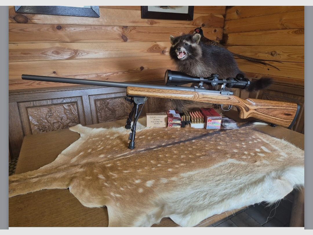 Ruger M77 MK2 VT Varmint/Target SS 223 REM in very good condition Harris Ultra Light bipod, image 1 of 10
