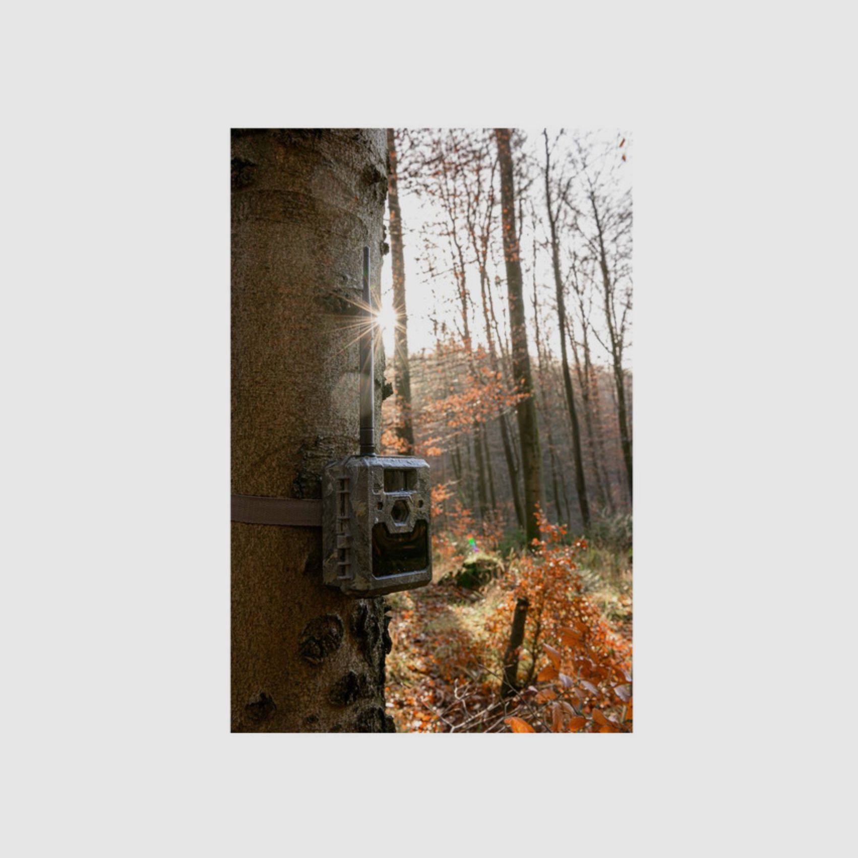 ICU 2022989 Cam 4G LTE sauvage et caméra de surveillance caméra sans fil