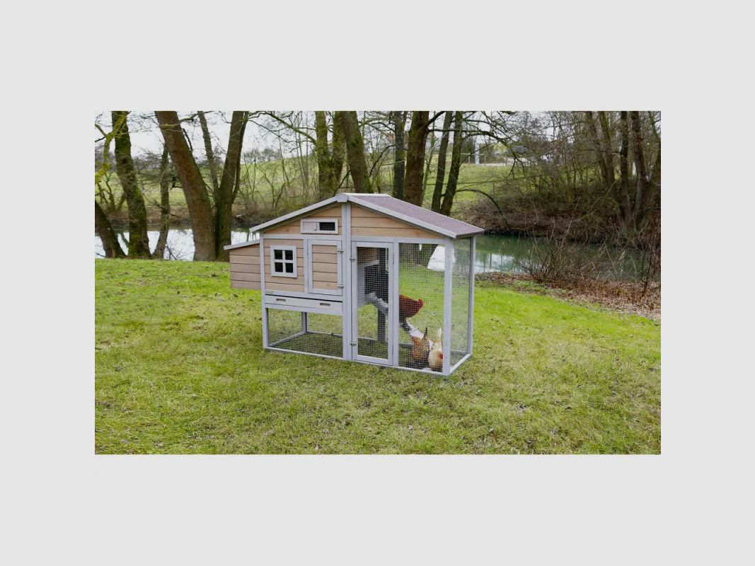 Hühnerstall "Grand luxe" mit Metallverstärkung, Bild 5 von 21