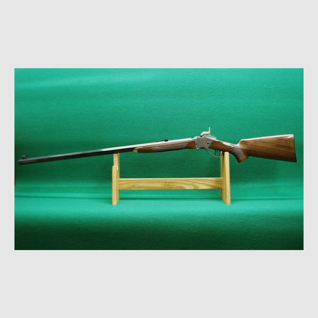 Competencia Sharps Saguaro de Pedersoli 34"