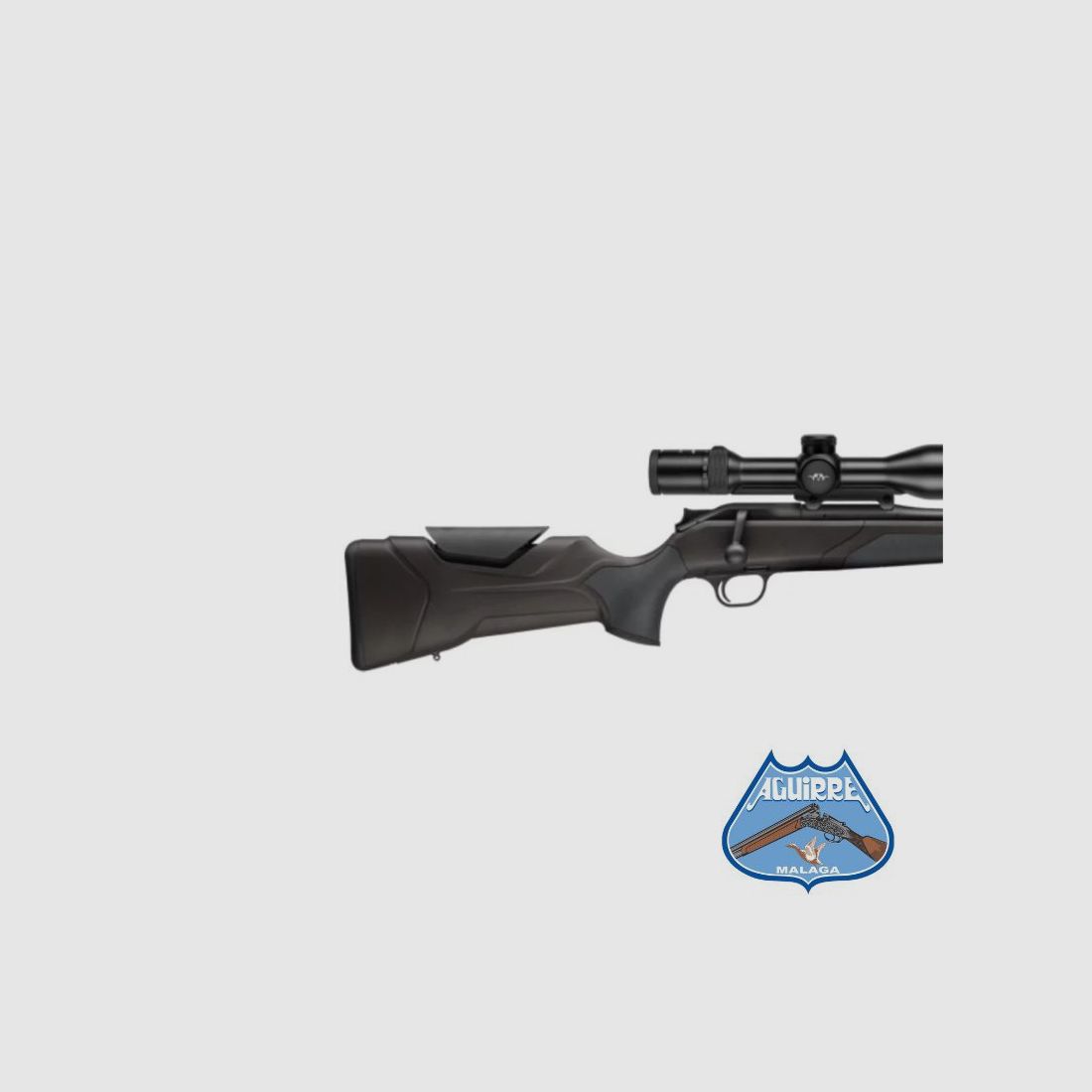 Fucile Blaser R8 Professional 2.0, immagine 2 di 6