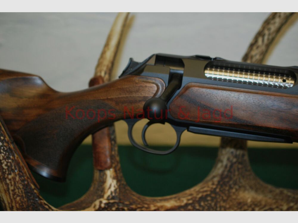Sauer & Sohn	 404 Silence TI