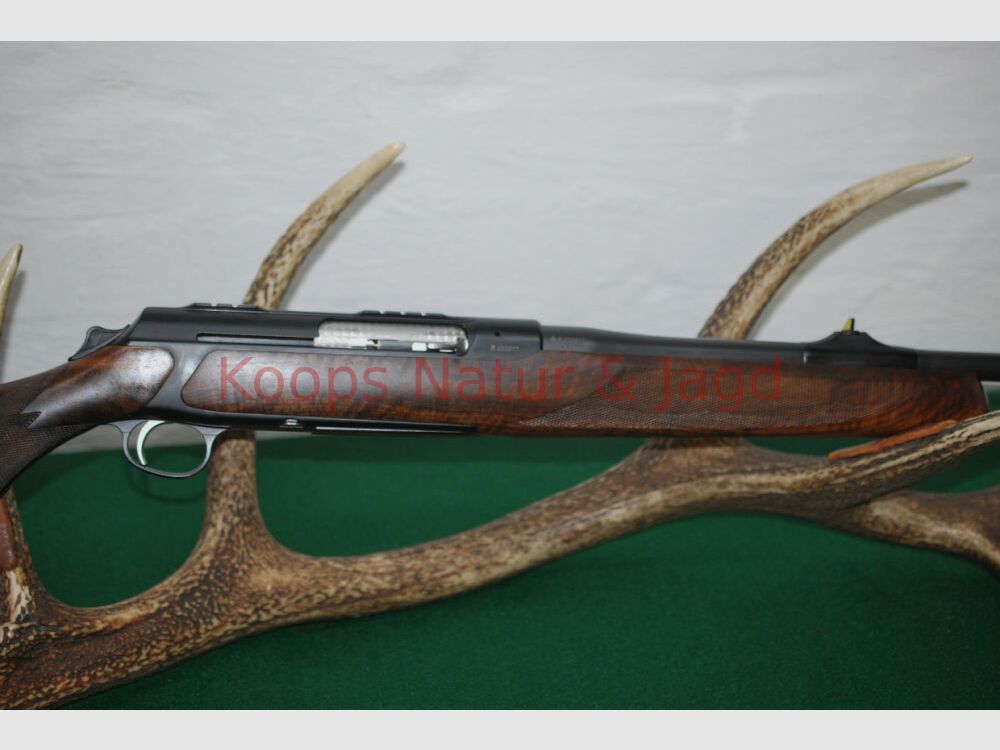 Sauer	 303