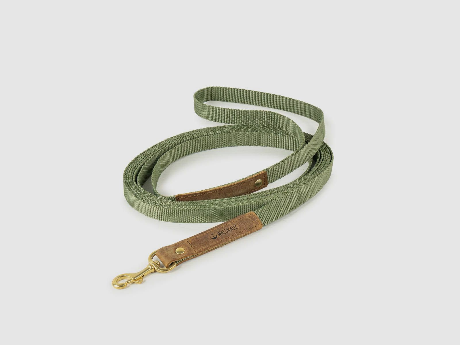 Training leash "Intern" 5m olive