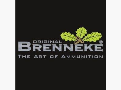 BRENNEKE Kugelpatronen .30R Blaser TUG 20 Stk   11,7g/180grs