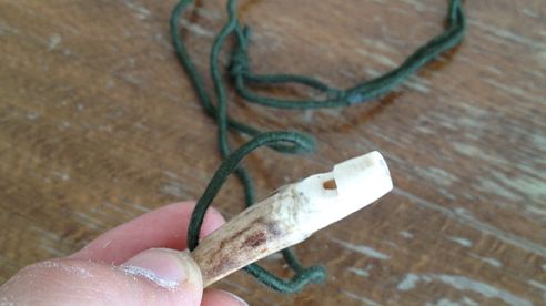 DIY - Mauspfeife selber bauen mit Video