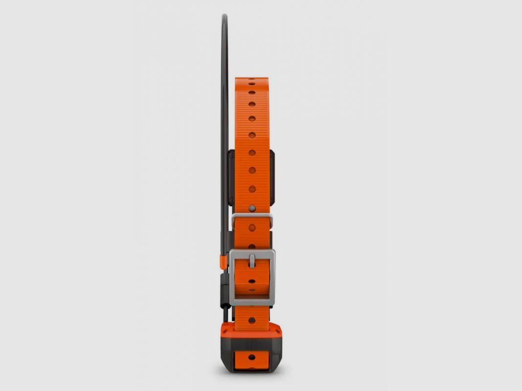 Zusätzlicher GPS-Kragen Garmin Alpha® T 20 K, Bild 5 von 6
