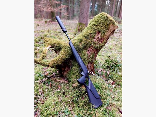 Blaser R8 Professional Success 30.06