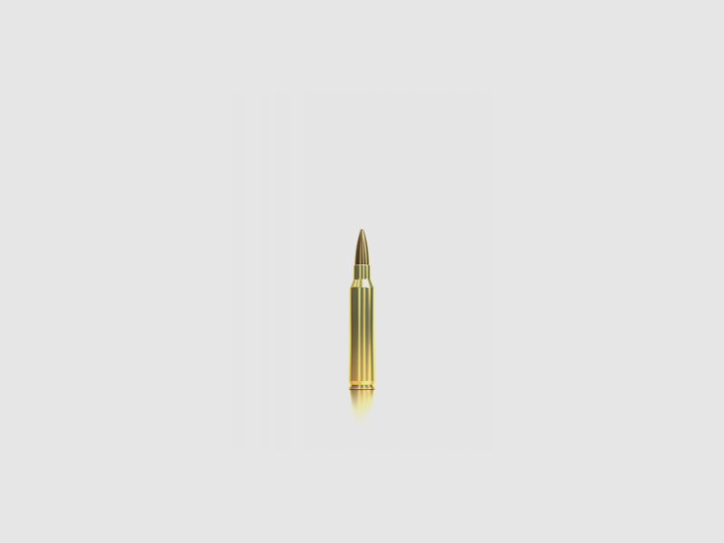 S&B Munizioni per Fucile Precision Ammo .223 Rem 3,36 g / 52 gr Hollow Point Boat Tail