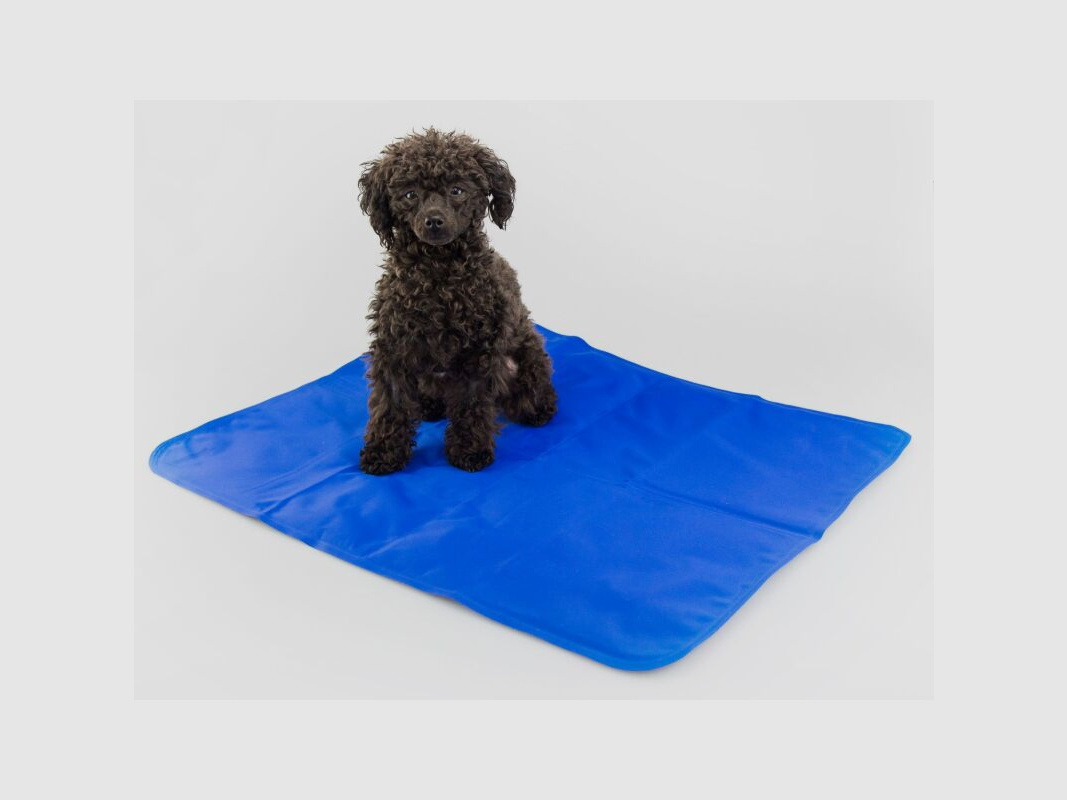 Procyon Hunde Kühlmatte