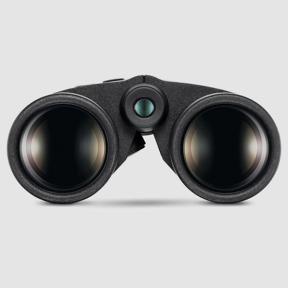 LEICA Geovid R SE 10x42