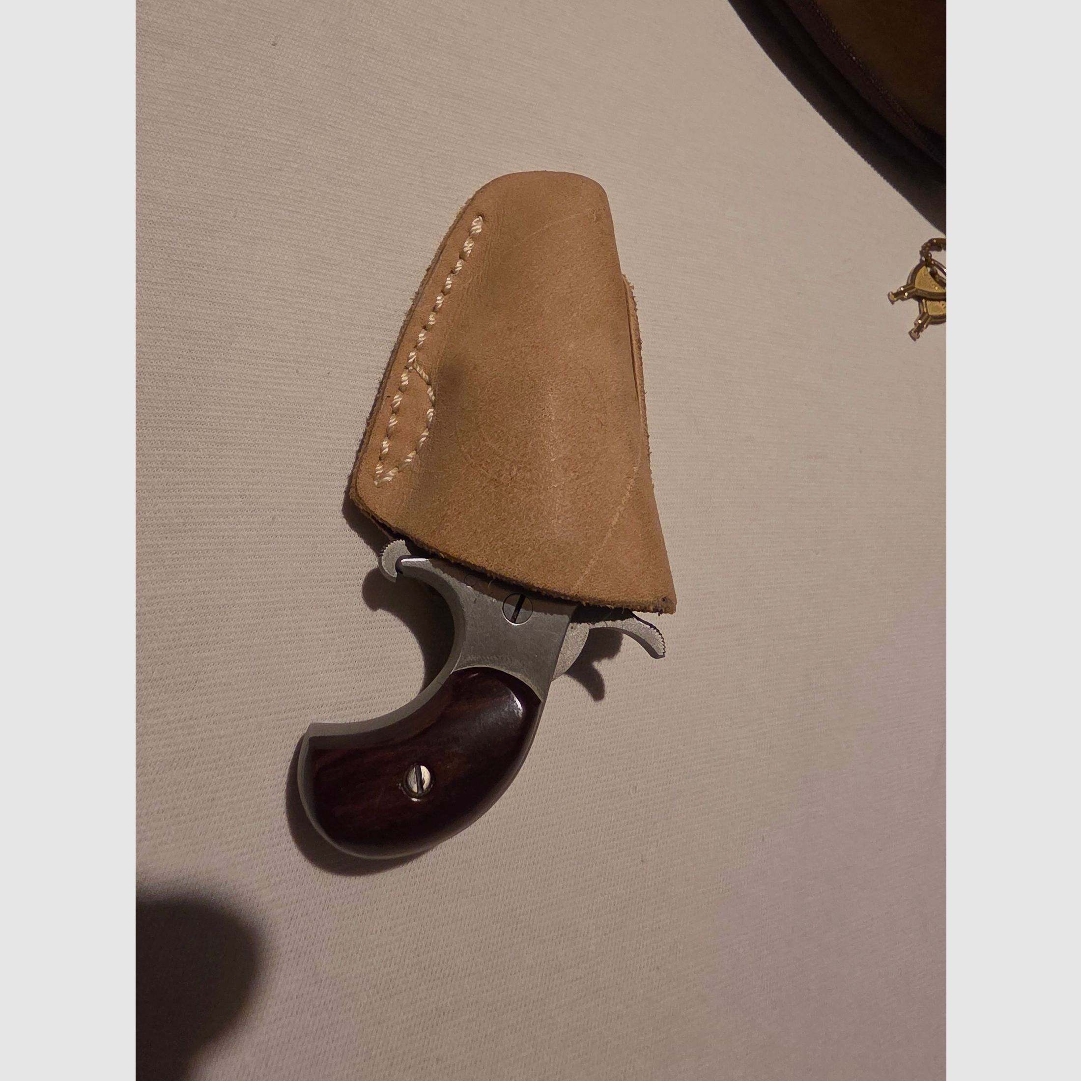 NAA North American Arms Revolver 22LR Top Zustand 