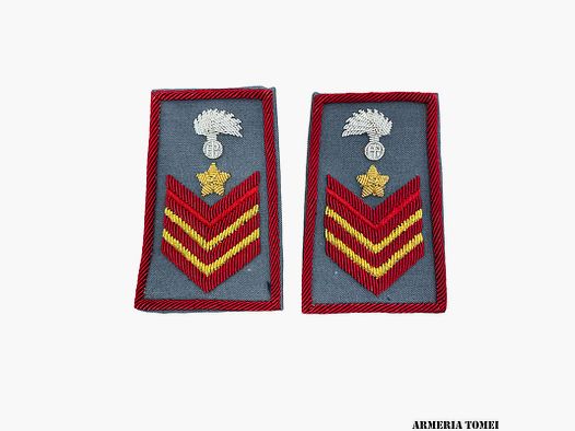 CARABINIERI – Épaulettes tubulaires brodées pour Appuntato Scelto avec qualification spéciale, sur un maillot de corps