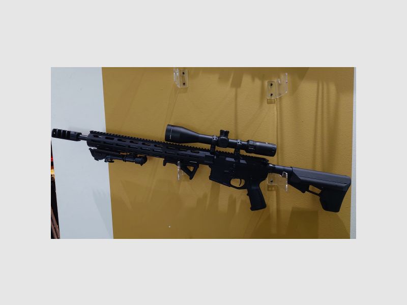 ARME CLIENT - DAR 15 SPR MATCH - .223REM + BAUER 6-24x50 U.V.M.