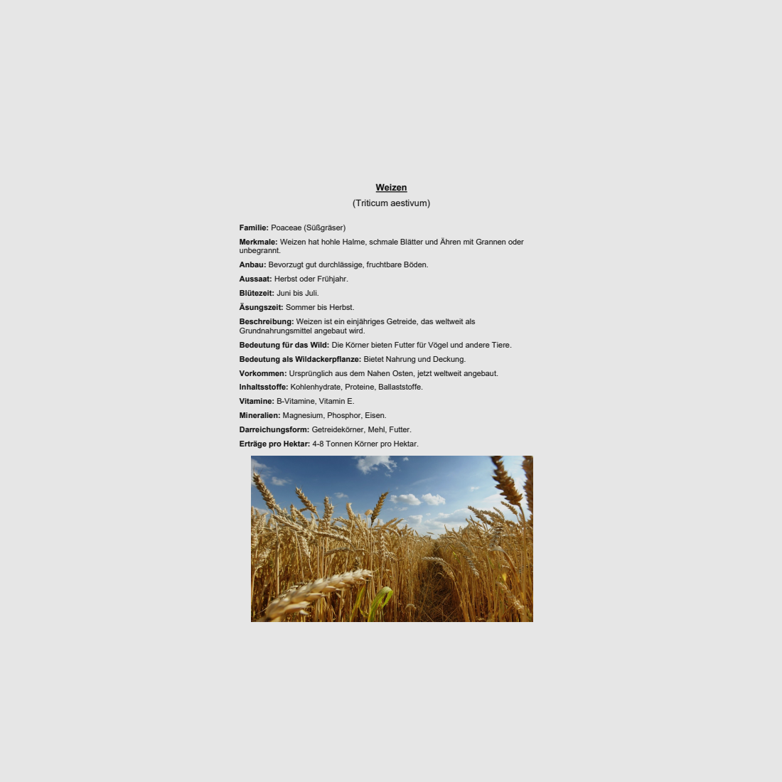 Zaadcollectie + beschrijvingsmap + Word-bestand + eiken kast voor onderwijsdoeleinden, afbeelding 7 van 7