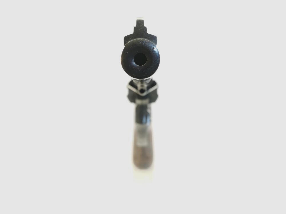 Taurus 96
