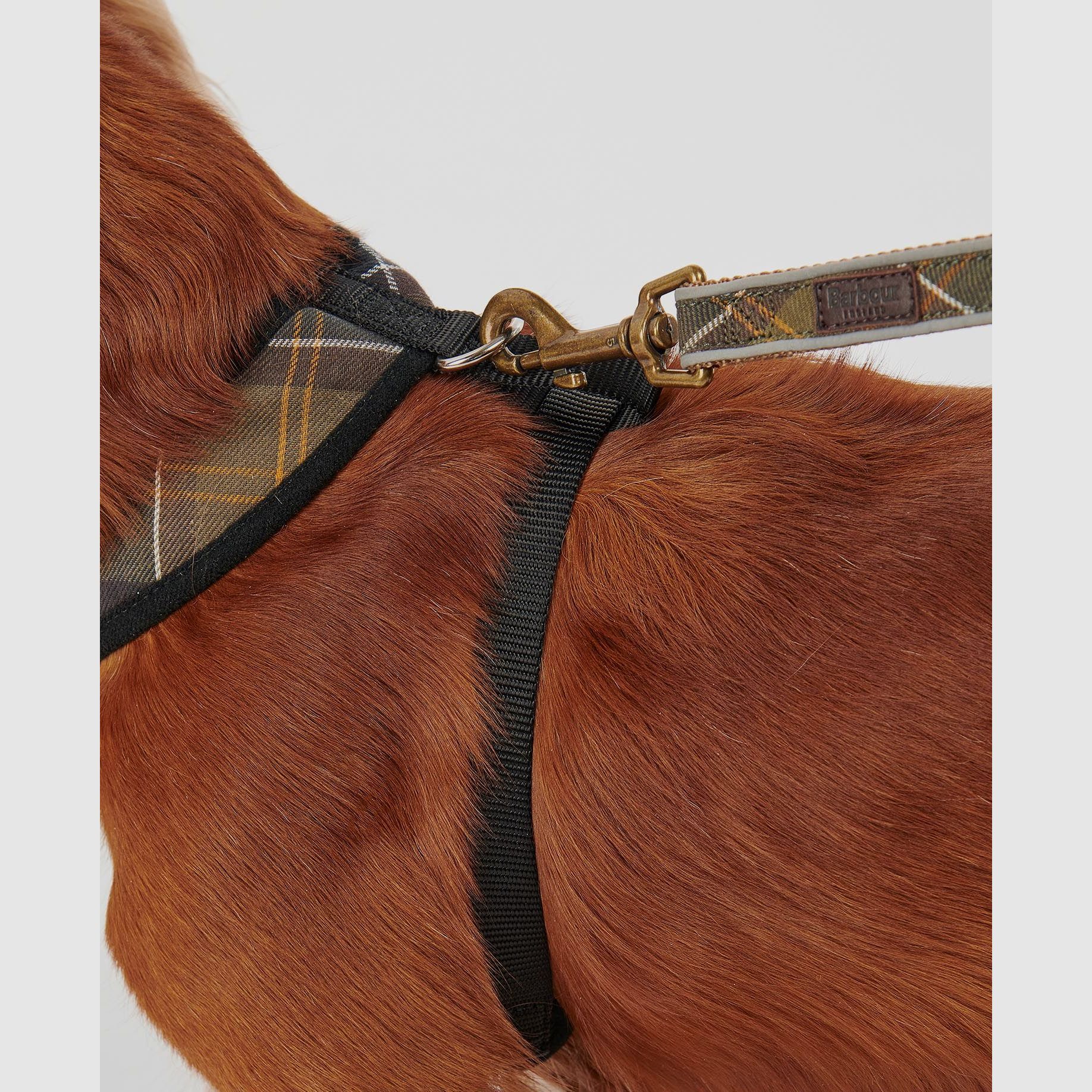 Barbour Hunde Geschirr
