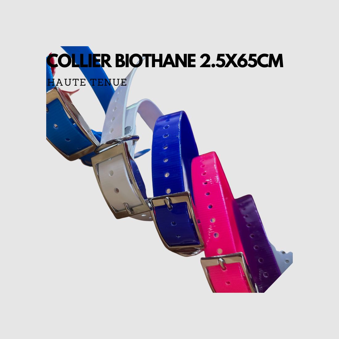 Halsband für Hunde Biothane Größe 2,5x65cm hohe Festigkeit, Bild 14 von 16