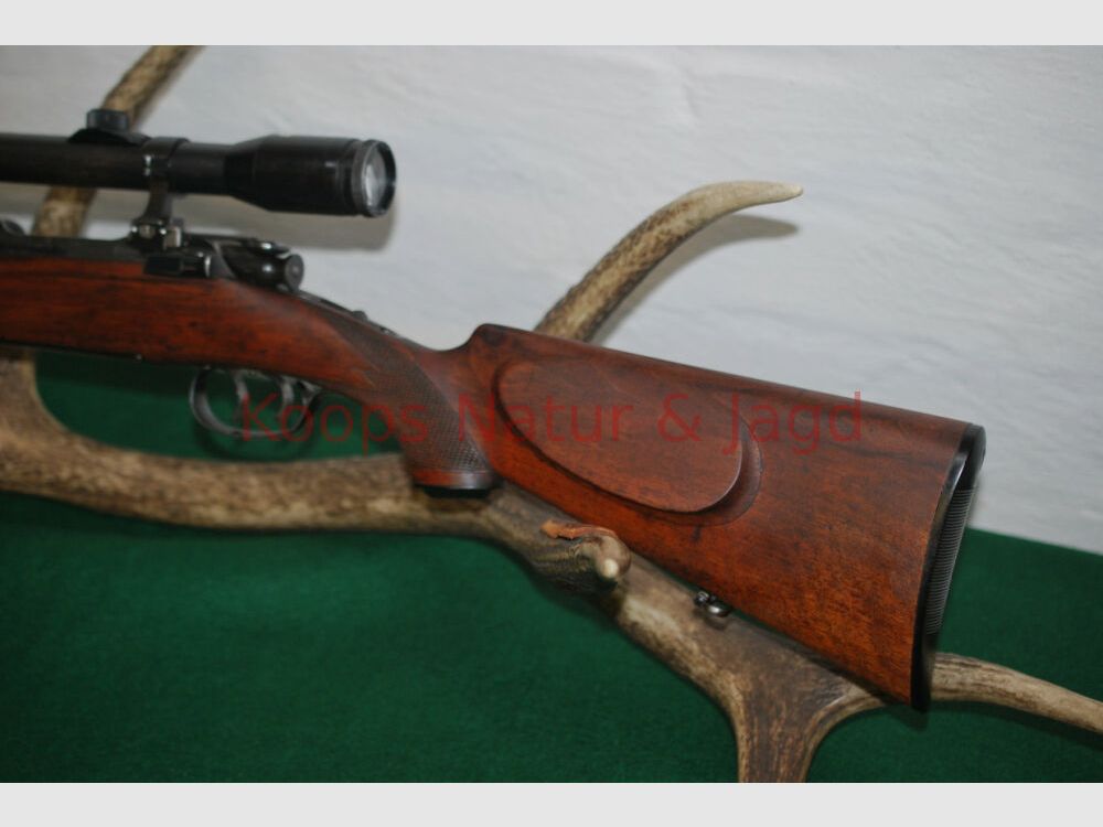 Steyr Mannlicher Schoenauer GK