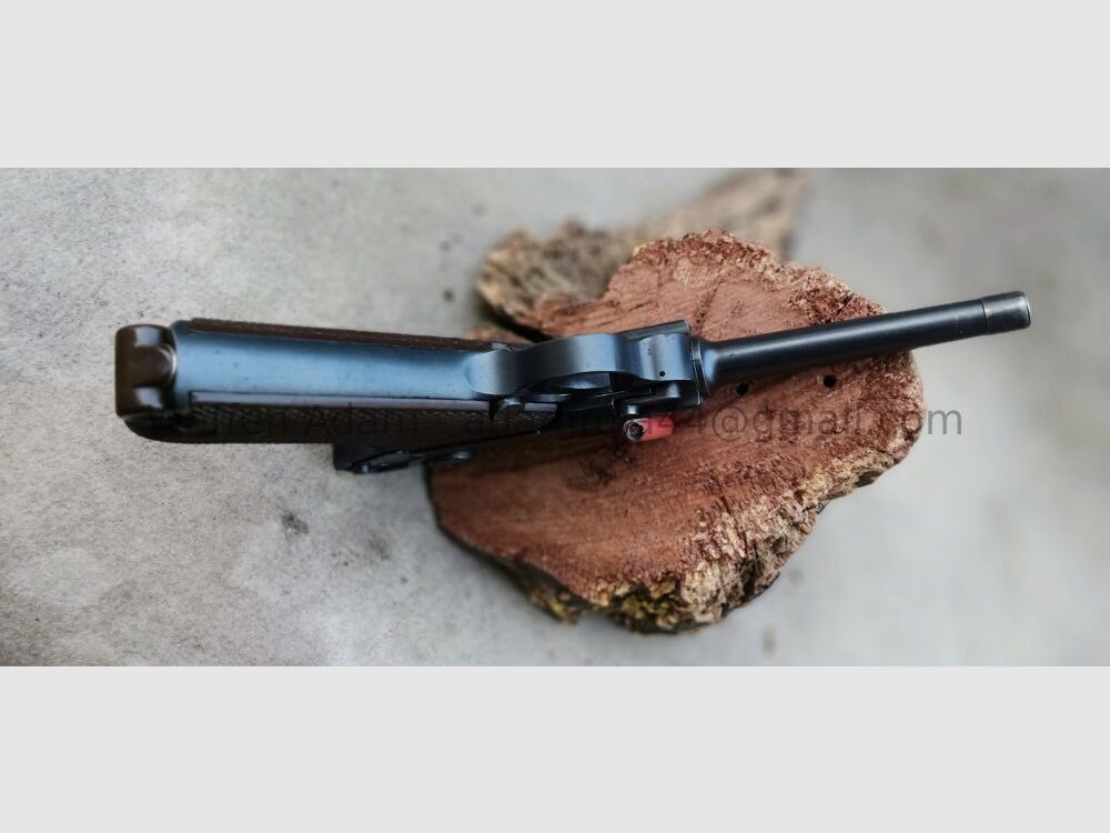 W+F, Fábrica de Armas Federal de Berna Pistola 06/29 Comercial