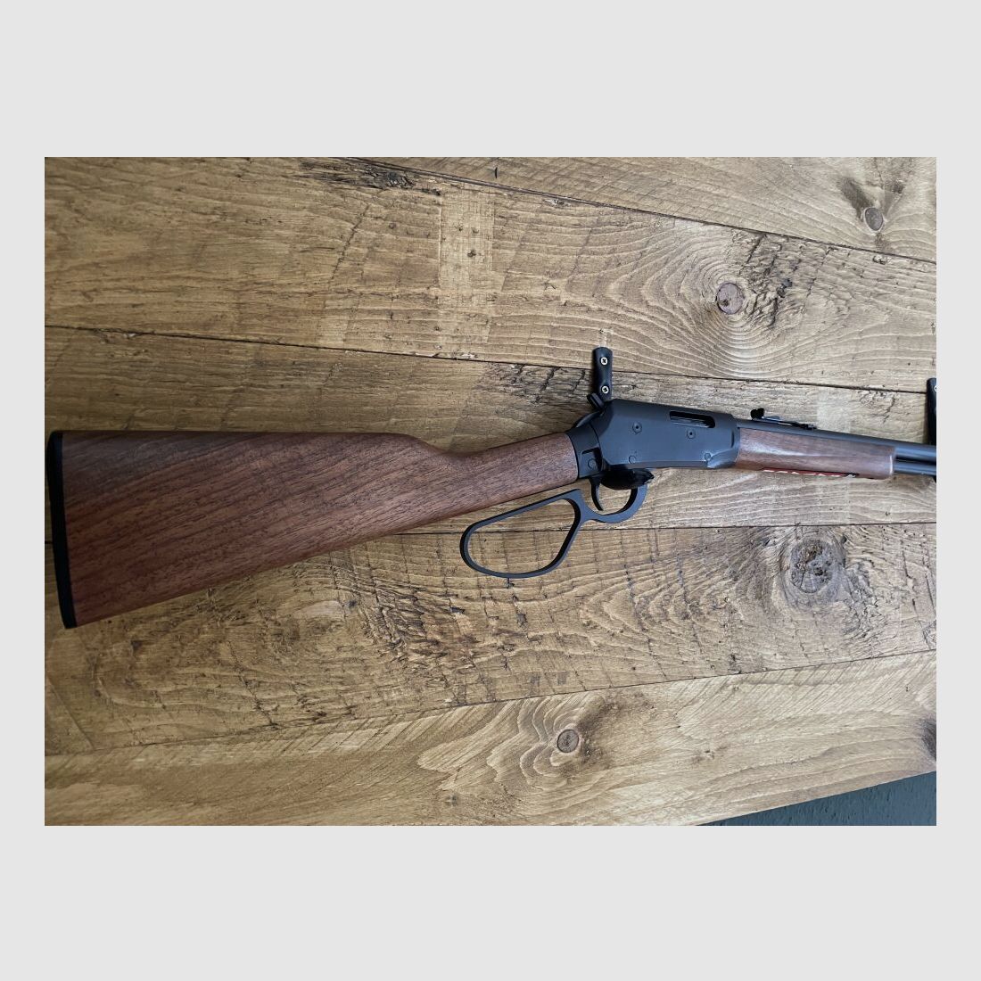 Savage Revel .22lr