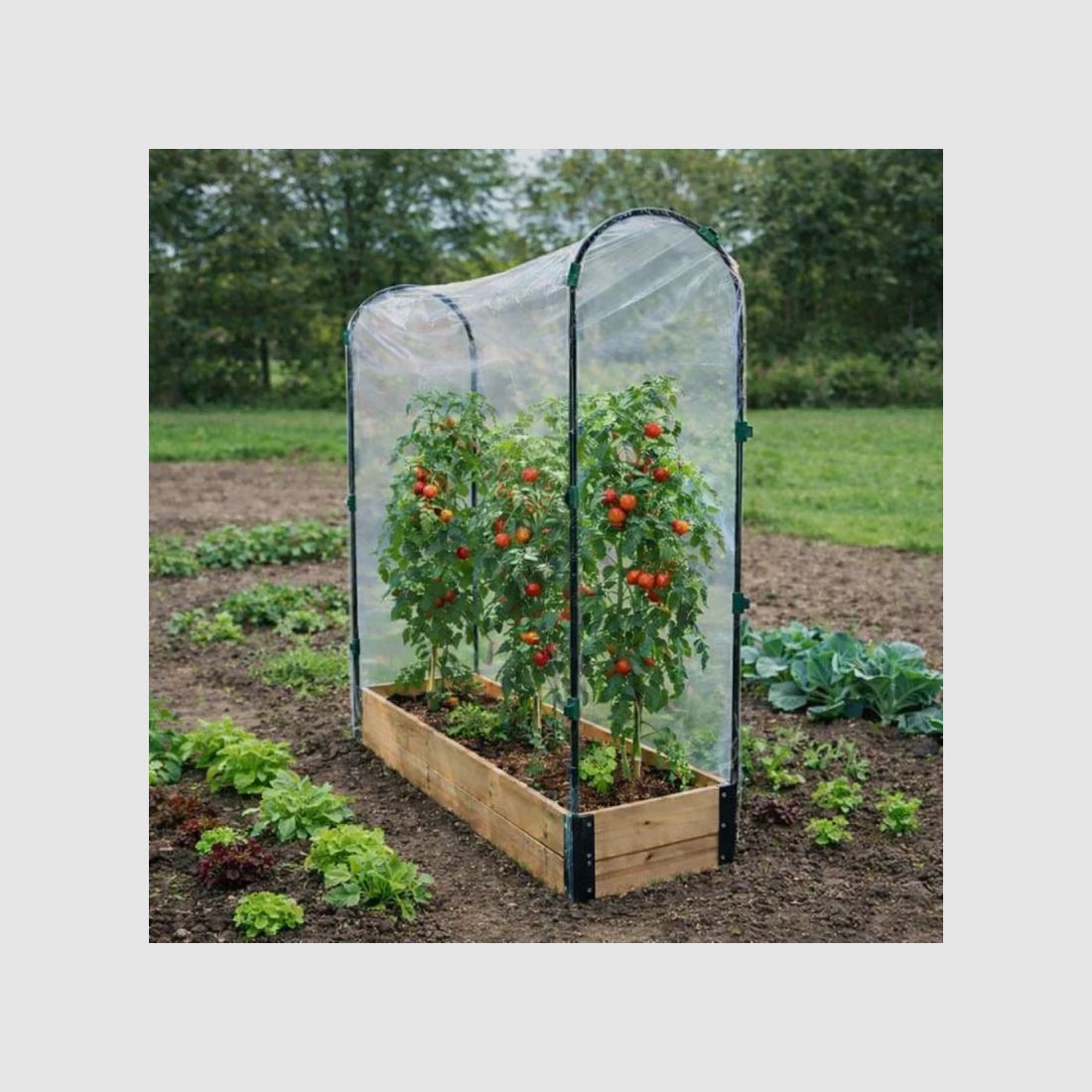 Hochbeet Tomate aus Fichtenholz mit PVC-Hülle - 115x30x120cm, Bild 1 von 12