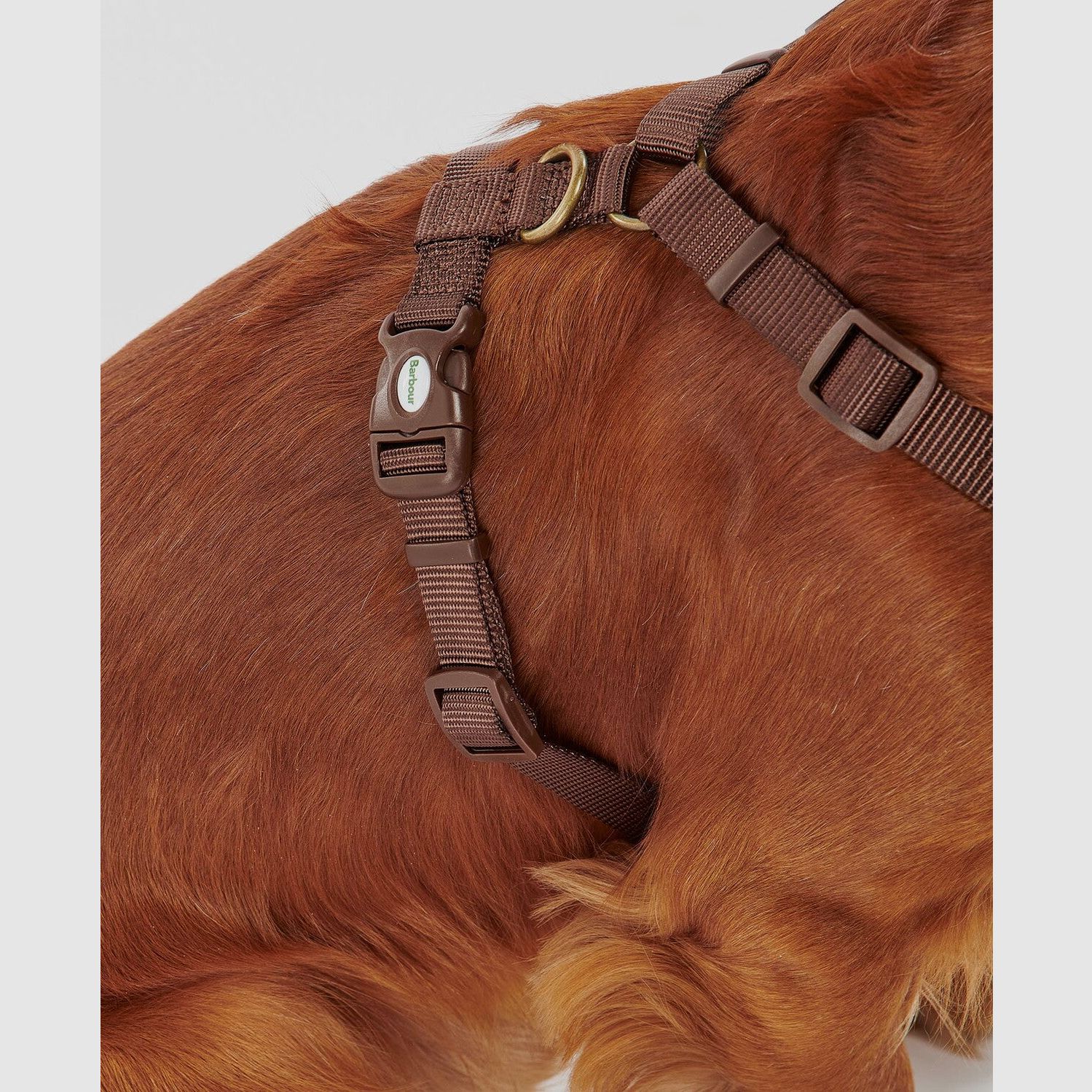 Barbour Hunde Geschirr Travel & Exercise