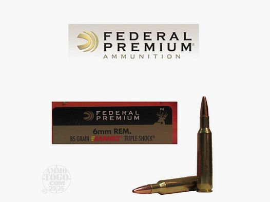 Federal – .244 Rem/ 6mm Remington