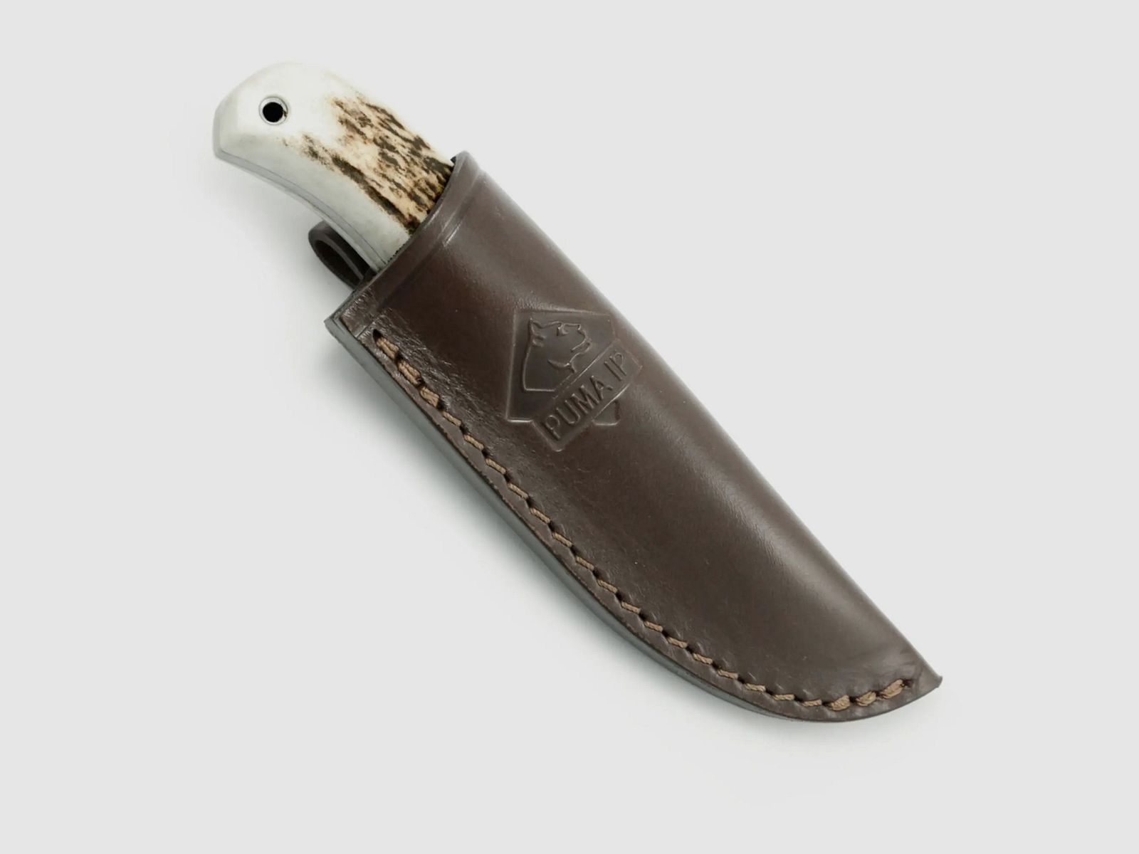 PUMA IP ela stag