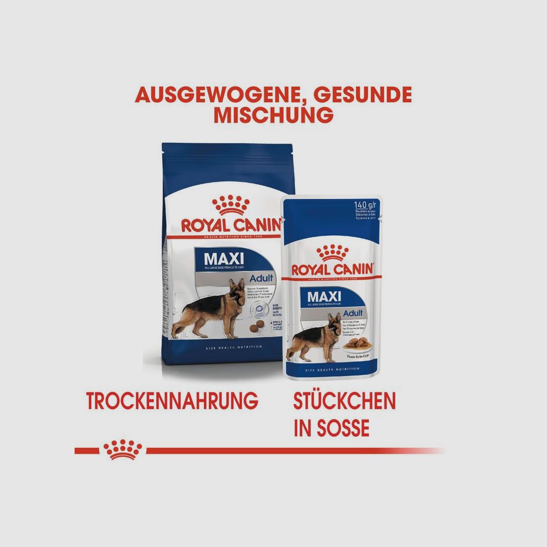 ROYAL CANIN Große Hunde Nassfutter Maxi Adult 10x140 g
