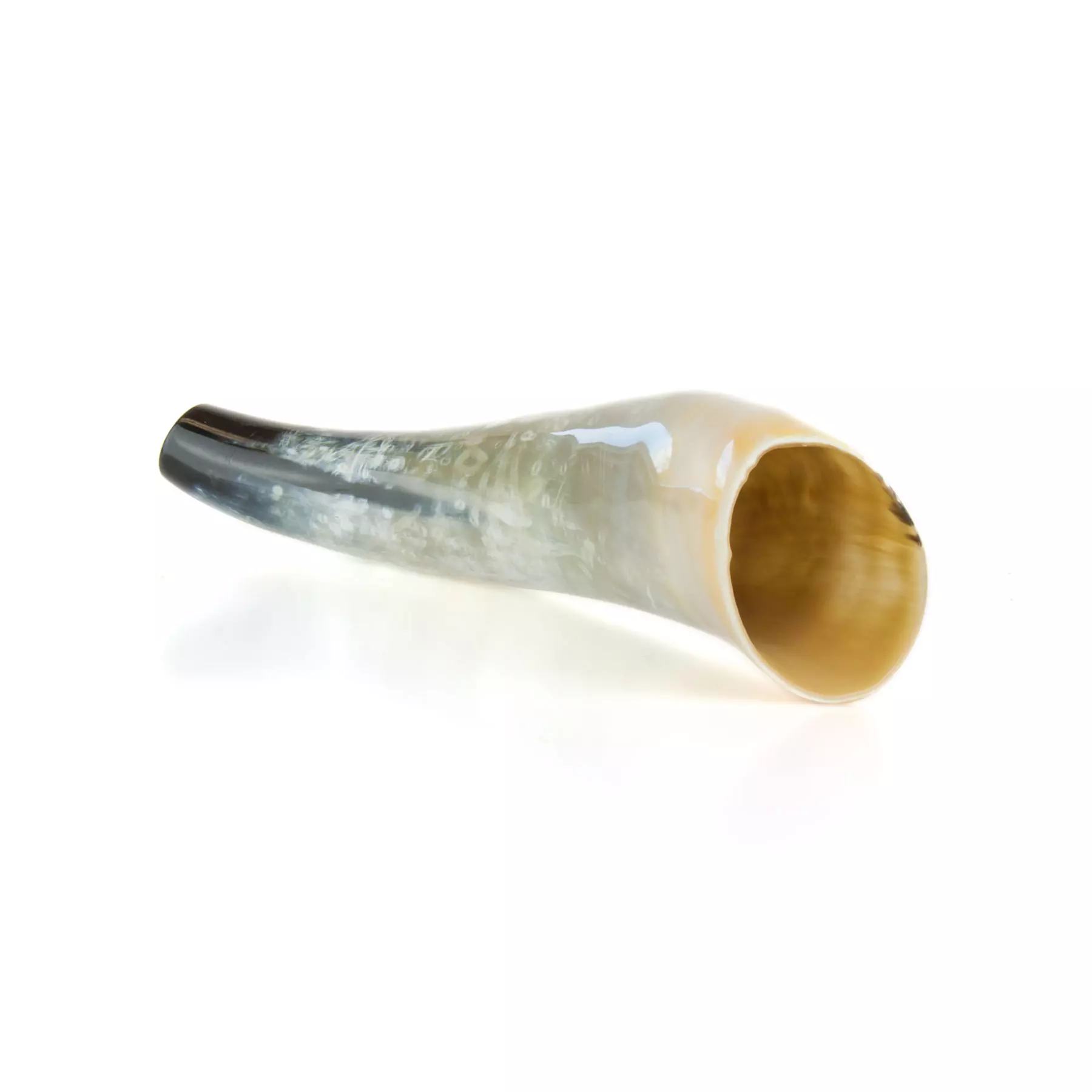 Ochsenhorn 40cm Hirschruf, Bild 1 von 3