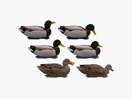 SET AUS 6 TEILEN GERMAN MÄNNLICH UND WEIBLICH FLOCKED