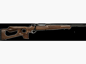 Anschütz 1782 Lochschaft